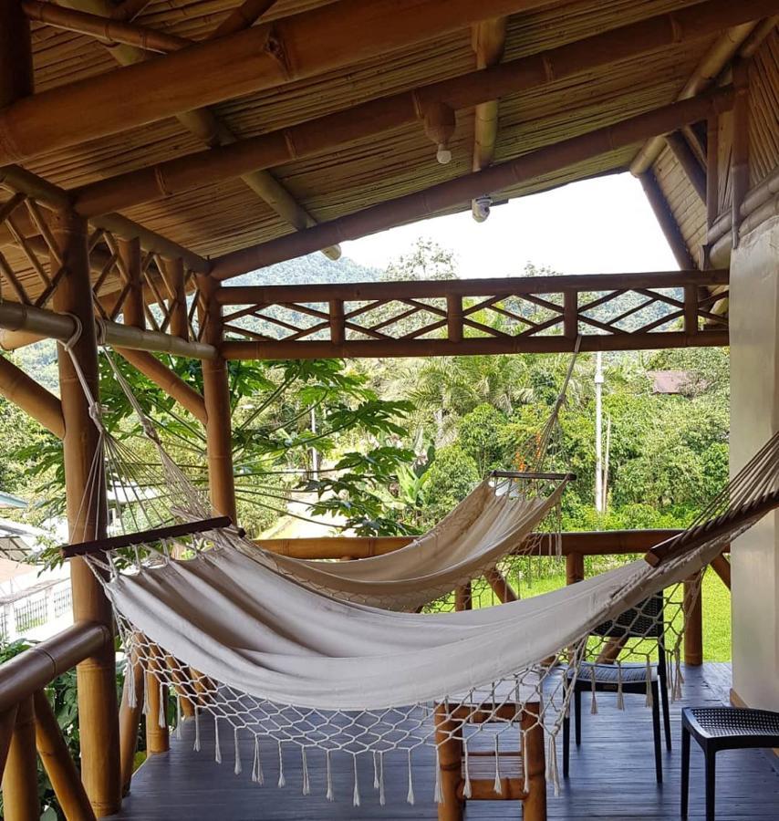 Golden Tree Mindo Eco-Lodge מראה חיצוני תמונה