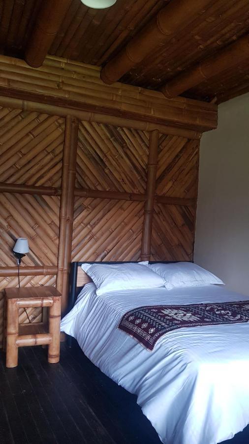 Golden Tree Mindo Eco-Lodge מראה חיצוני תמונה