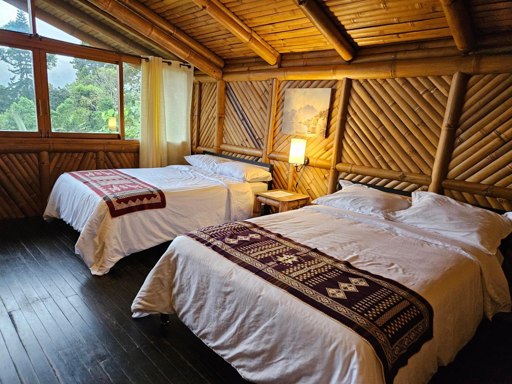 Golden Tree Mindo Eco-Lodge מראה חיצוני תמונה